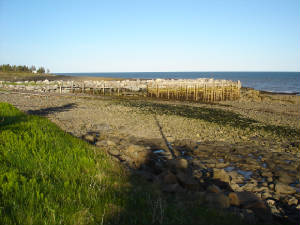 Lowtide.JPG
